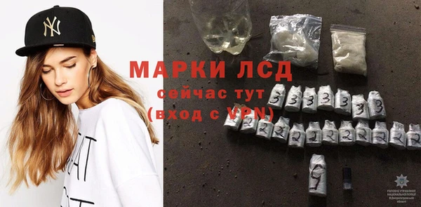 ГАЛЛЮЦИНОГЕННЫЕ ГРИБЫ Козельск