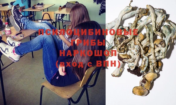 дмт Абдулино