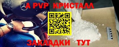 PSILOCYBIN Кунгур