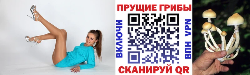 Галлюциногенные грибы ЛСД Дербент
